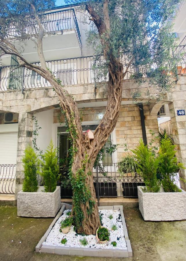 Apartment Oliva1 Petrovac Екстериор снимка